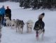La Boite A Montagne Mushing